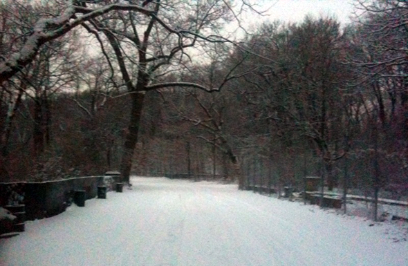 Snowy morning in Prospect Park